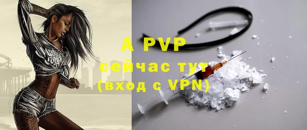 apvp Алексин