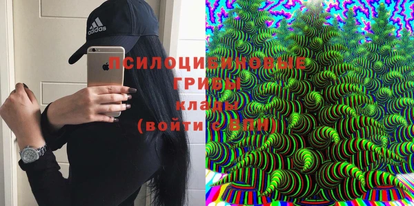Альфа ПВП Алзамай