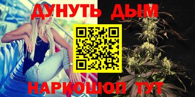 стаф Тара