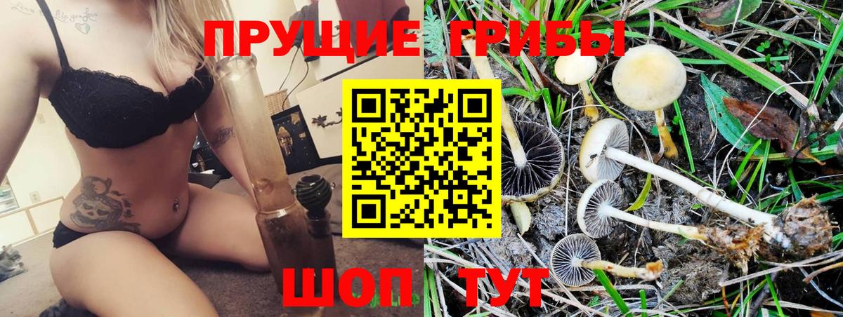 Псилоцибиновые грибы GOLDEN TEACHER  продажа наркотиков  Сыктывкар  Вход с VPN 