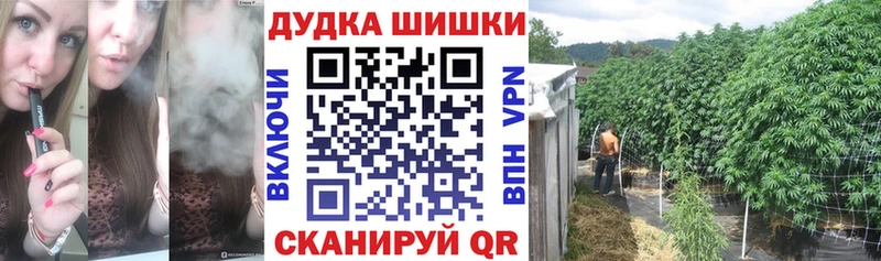Шишки марихуана конопля Сыктывкар