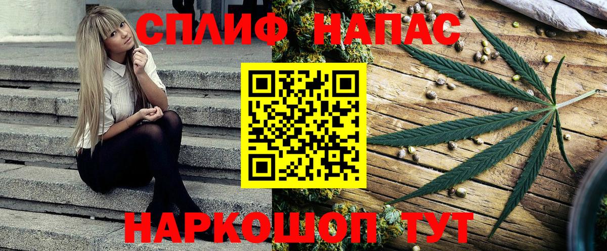 Бошки Шишки VHQ Сыктывкар